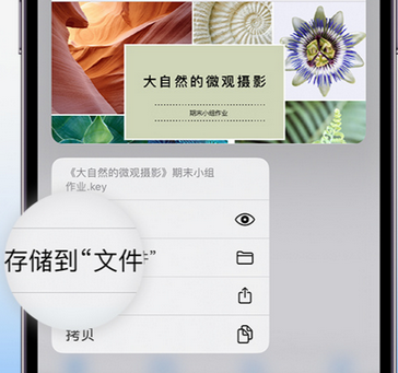 蕲春apple维修中心分享iPhone文件应用中存储和找到下载文件