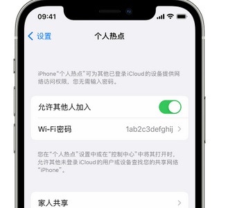 蕲春apple服务站点分享iPhone上个人热点丢失了怎么办