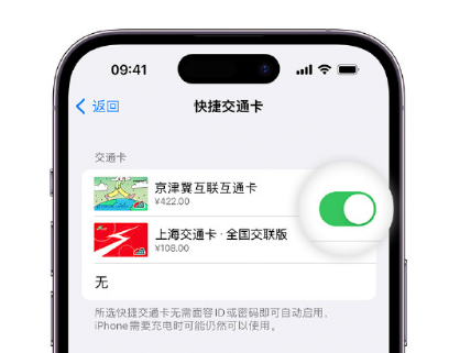 蕲春apple维修点分享iPhone上更换Apple Pay快捷交通卡手绘卡面 