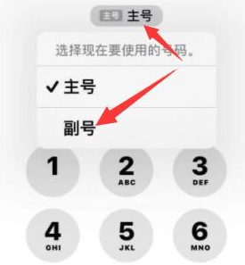 蕲春苹果14维修店分享iPhone 14 Pro Max使用副卡打电话的方法 