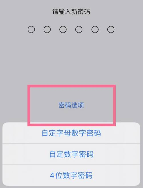 蕲春苹果14维修分享iPhone 14plus设置密码的方法 