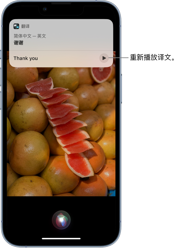 蕲春苹果14维修分享 iPhone 14 机型中使用 Siri：了解 Siri 能帮你做什么 