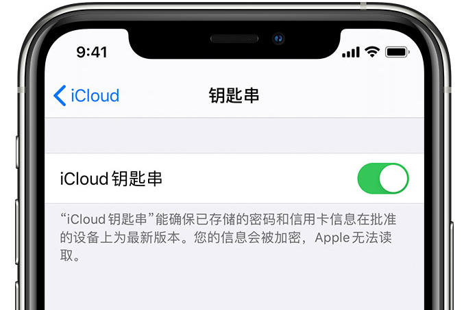 蕲春苹果手机维修分享在 iPhone 上开启 iCloud 钥匙串之后会储存哪些信息 